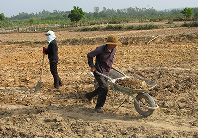 Khai hoang, cải tạo đất trồng lúa được hỗ trợ đến 10 triệu đồng/ha